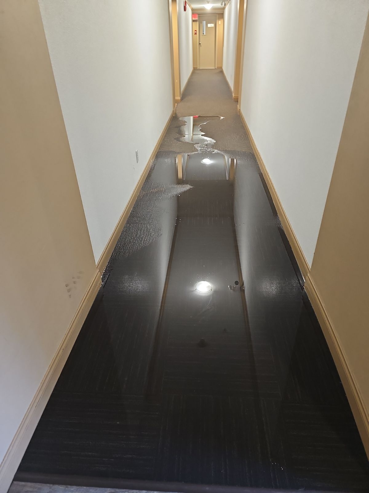 Flooded strata building hallway with standing water on carpet — real iRPro emergency response job